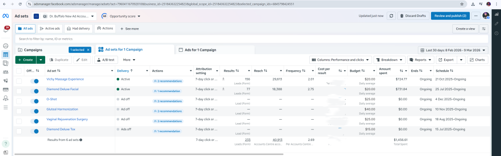 Mockup of Google Ads Manager dashboard showing campaign performance for Dr. Buffalo Med Spa